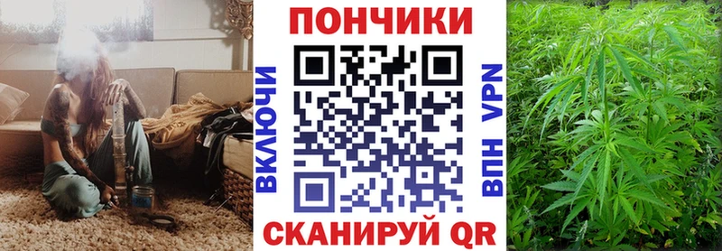 как найти закладки  Вязьма  нарко площадка состав  МАРИХУАНА OG Kush 